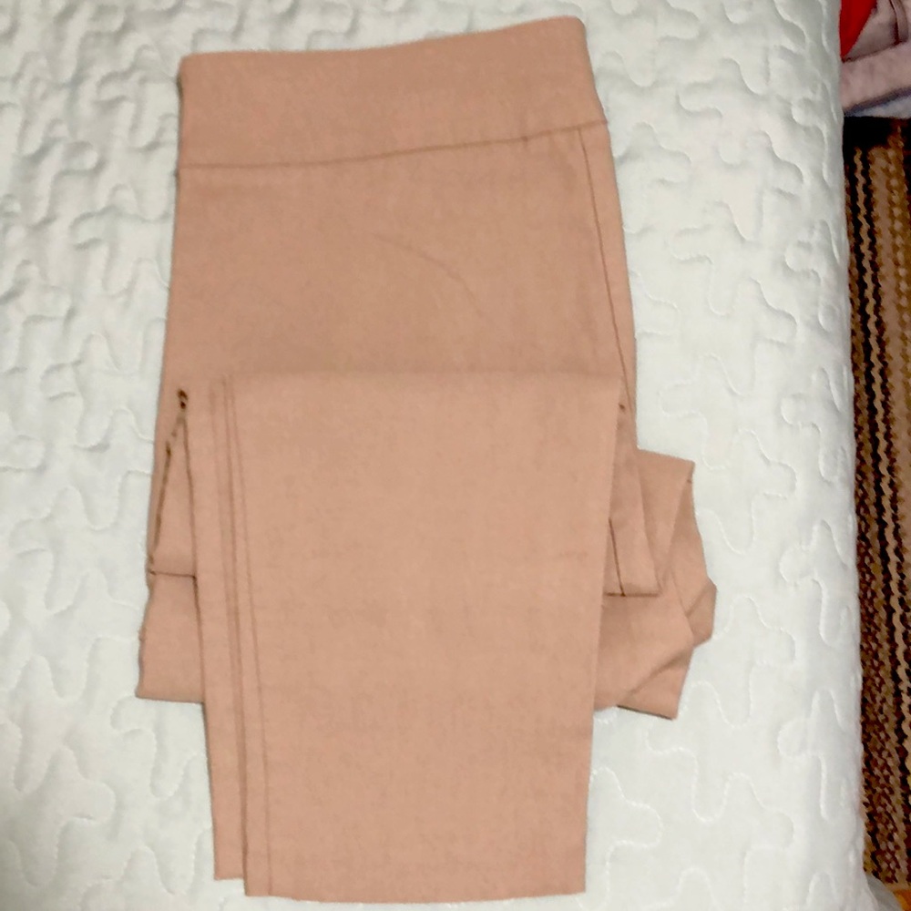 Sabrina’s Size 16 Beige skinny buisness casual pants